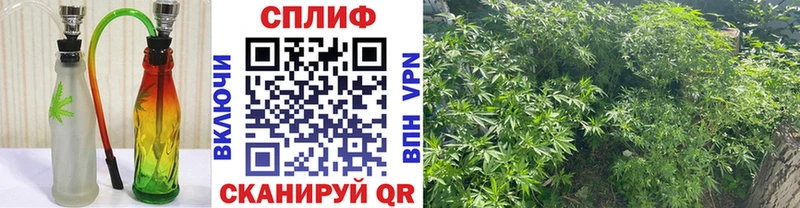 магазин продажи наркотиков  Усолье  Марихуана Amnesia 